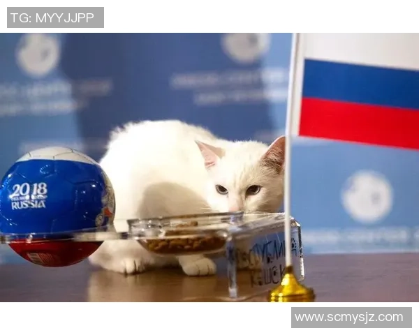 埃及队与南非队激战正酣谁能在这场较量中脱颖而出 埃及队与南非队激战正酣谁能在这场较量中脱颖而出