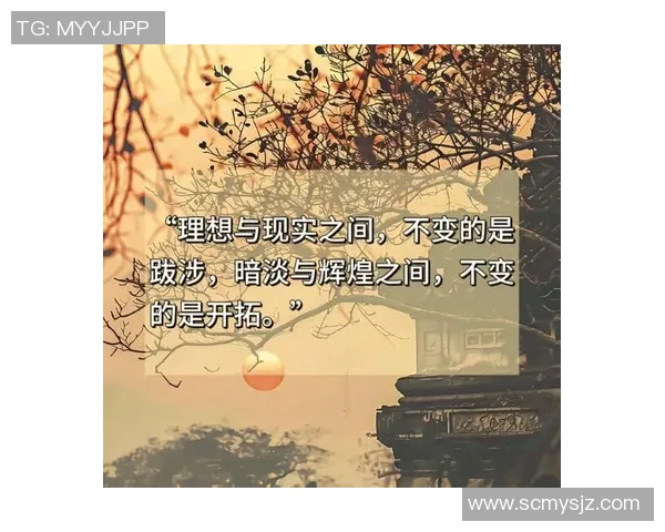 年青人与塞维特的较量：梦想与现实的碰撞与思考