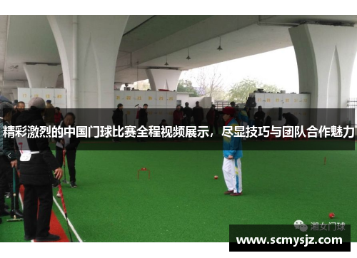 精彩激烈的中国门球比赛全程视频展示，尽显技巧与团队合作魅力