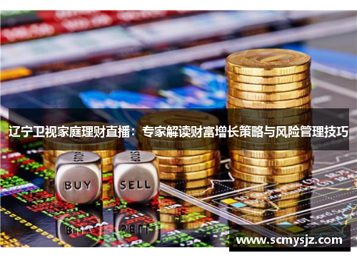辽宁卫视家庭理财直播：专家解读财富增长策略与风险管理技巧