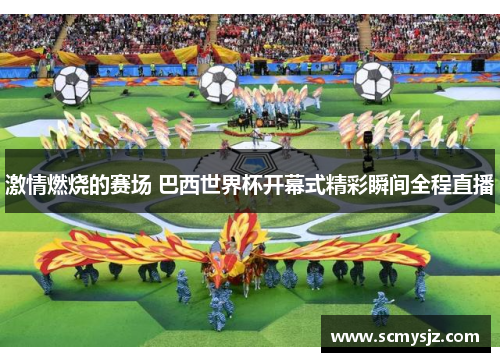 激情燃烧的赛场 巴西世界杯开幕式精彩瞬间全程直播
