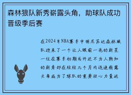 森林狼队新秀崭露头角，助球队成功晋级季后赛