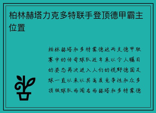 柏林赫塔力克多特联手登顶德甲霸主位置